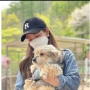 하림푸드 이미지