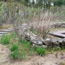 돌담하우스 이미지