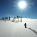 뽀독뽀독 이미지