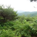 큰매산(142m),국사봉(170m),왕자산 정상석산(342m),벌명당산(257m),왕자산(252m)/충남 천안 이미지