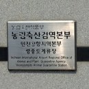 말순이네 이미지