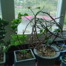 삼신농장 이미지