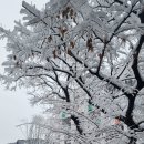 팩토리부동산공인중개사사무소 이미지