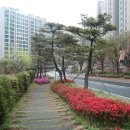 동천조경 이미지