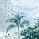 자유로 프라자 이미지