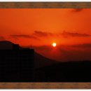 골드캣슬