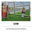 아산팜 | 천안 근교 아기랑 실내 가볼만한 곳｜20개월 아기 아산 도치팜 딸기 따기 체험 후기