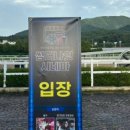 얌샘김밥 과천역점 이미지