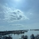 진주네 | 궁평항 횟집 포장, 진주네 방문후기 - 내돈내산 회포장 리뷰