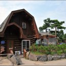 대천통나무소나무펜션 이미지