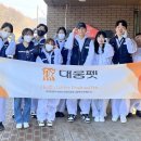 더펫센터 이미지