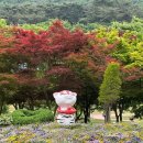 제195차 익산보석산악회 정기산행 2026년9월13일 영광 불갑산 연실봉(516m) 이미지