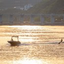 리본온수풀빌라 이미지