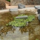 시티파크(씨티파크) 이미지