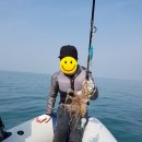 2016년 10월 15일 토요일 - 마량포구 쭈꾸미 갑오징어 낚시