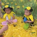 마전어린이집 | 아이들의 새로운 시작, 믿을 수 있는 영아보육! 영남어린이집에서 시작해 보세요