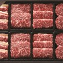 현대한우 이미지