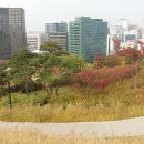 서울 남산 가볼만한곳 1편-남산 한양도성과 백범 김구,성재 이시영 선생 동상 이미지