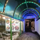 세븐일레븐춘천후평사거리점 | 춘천 후평동 기본찬 잘나오는 한우곱창 맛집 내돈내산 솔직후기![따봉한우곱창 후평우미린점]