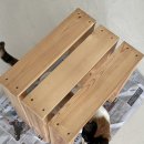 노루페인트 - 영덕군 중앙길 10 | 재밌는데..?🎨 노루페인트 팬톤페인트 멀티 아몬드 오일 에그쉘광 리폼하기