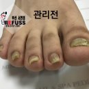 미몽 이미지