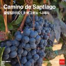 동틀때 | 산티아고순례길 · 코스 · 나헤라 · 와인 · 출발팀 · 후기 · 거리 · 알베르게 · 패키지 - REEN