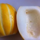 김성환농장 이미지