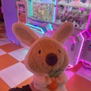 땅이게임랜드 이미지