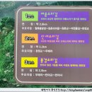 반야사 티스토리