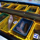 (주)활어천국 이미지