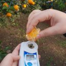 대유농장 이미지