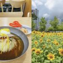 GS25 서면문화점 | 7월 부산 여행, 춘하추동밀면 서면본점 부산시민공원