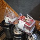 산본로323번길 | 반반치킨 가성비맛집 추천 썬더치킨 후라이드/양념 메뉴 추천 가격 산본점 내돈내산 후기