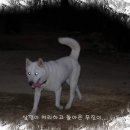 무진농장 Daum카페