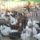 느티나무펜션민박 이미지