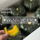 땅끝농부 | 땅끝농부들 해남 하우스 미니 밤호박 보우짱 4kg 택배후기