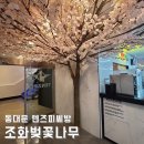 나무PC방 | 실내조화벚꽃나무 설치, 동대문 텐즈피씨! PC방 인테리어 추천~!