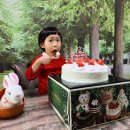 대전 성심당 망고시루 후기 | 성심당 케이크 추천