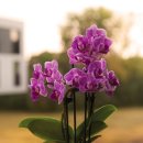 문예 창작 교실 이미지