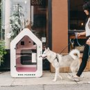 강아지홀릭 이미지