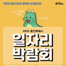 295 이미지