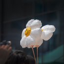 부평2동주민센터 이미지