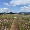 코스모스경로당 이미지