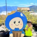 진례어린이집 이미지