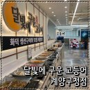 오조산로 57번길 | 계산동한정식 맛집 달빛에 구운 고등어 계양구청점 모듬구이 한상 2인