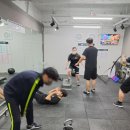 슈가복싱 이미지