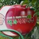 농업회사법인 잭과사과나무