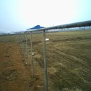 천우 농장 이미지