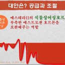 에스테라 이미지