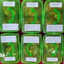 화남경로당 이미지